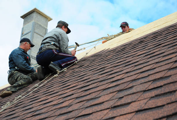 Best Emergency Roof Repair  in Rio Dell, CA